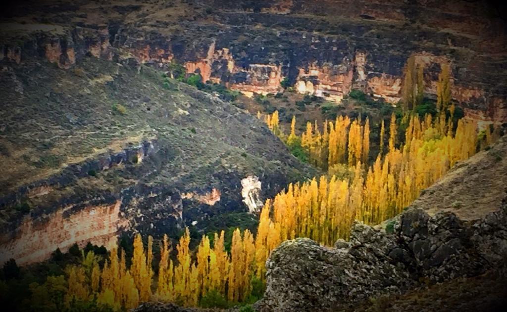 Hostal Posada La Panadera سيبولْفيذا المظهر الخارجي الصورة